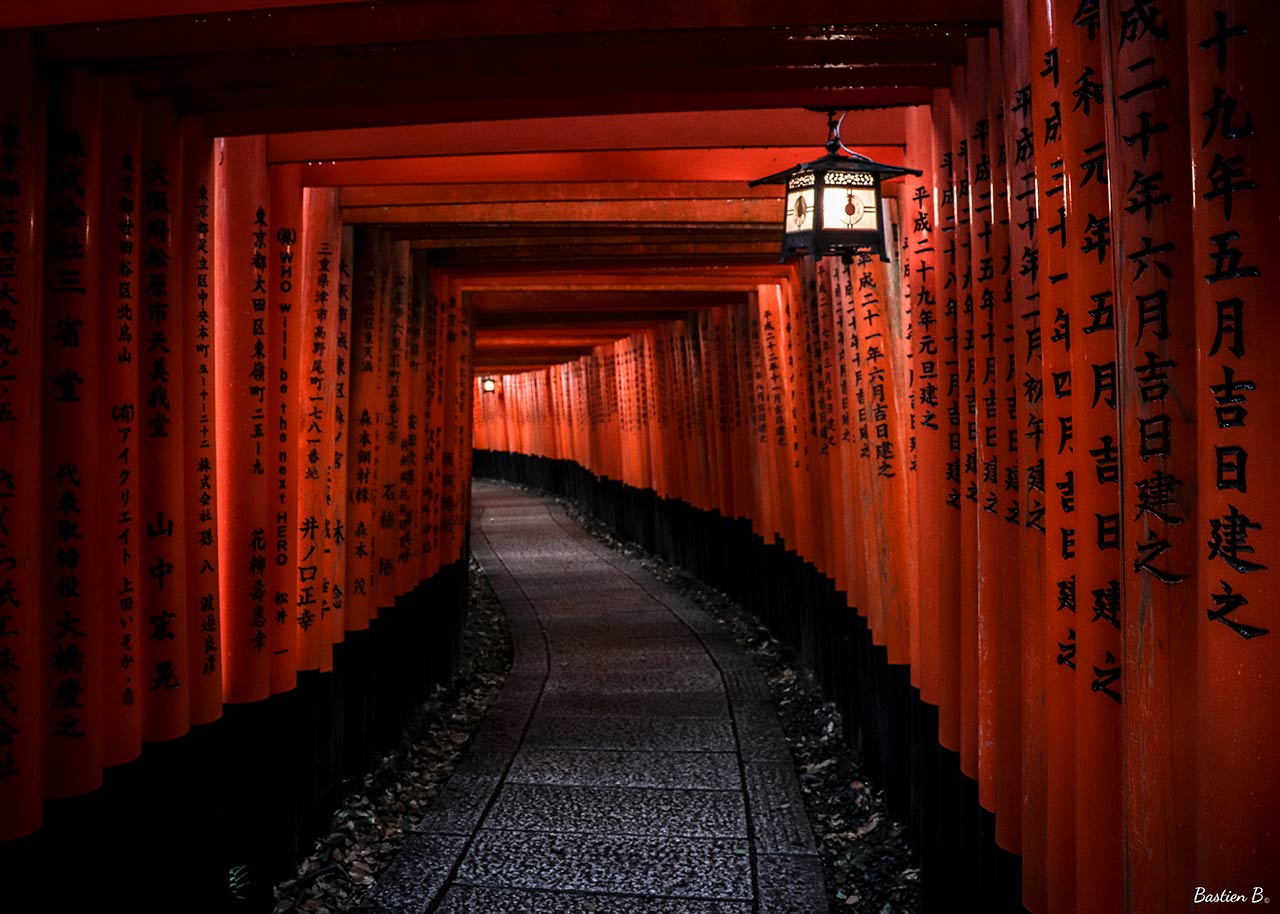 Senbon Torii (Thousands Torii Gate) | Kyoto, Japan