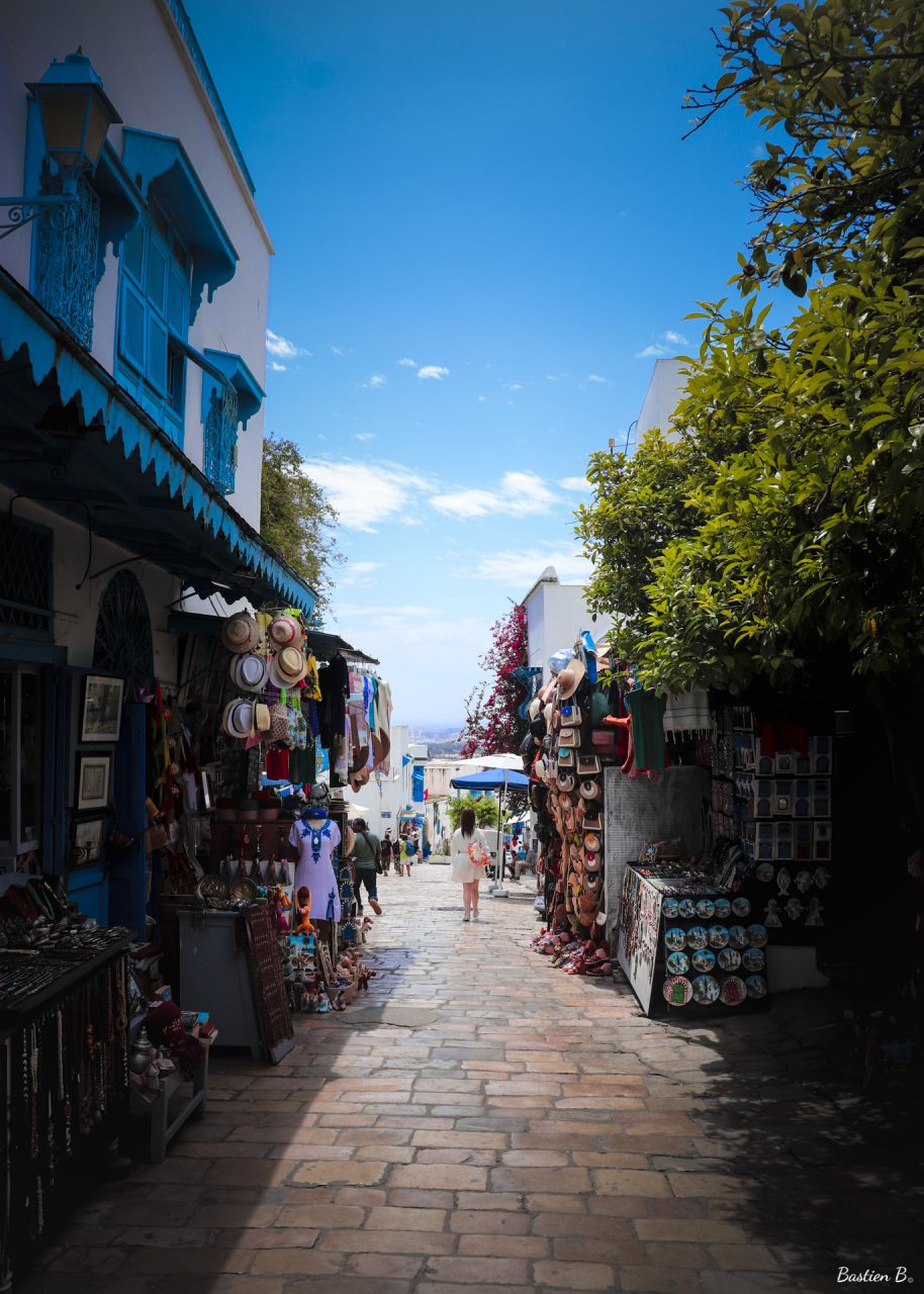 Rue Heddi Zarouk | Sidi Bou Said, Tunisie