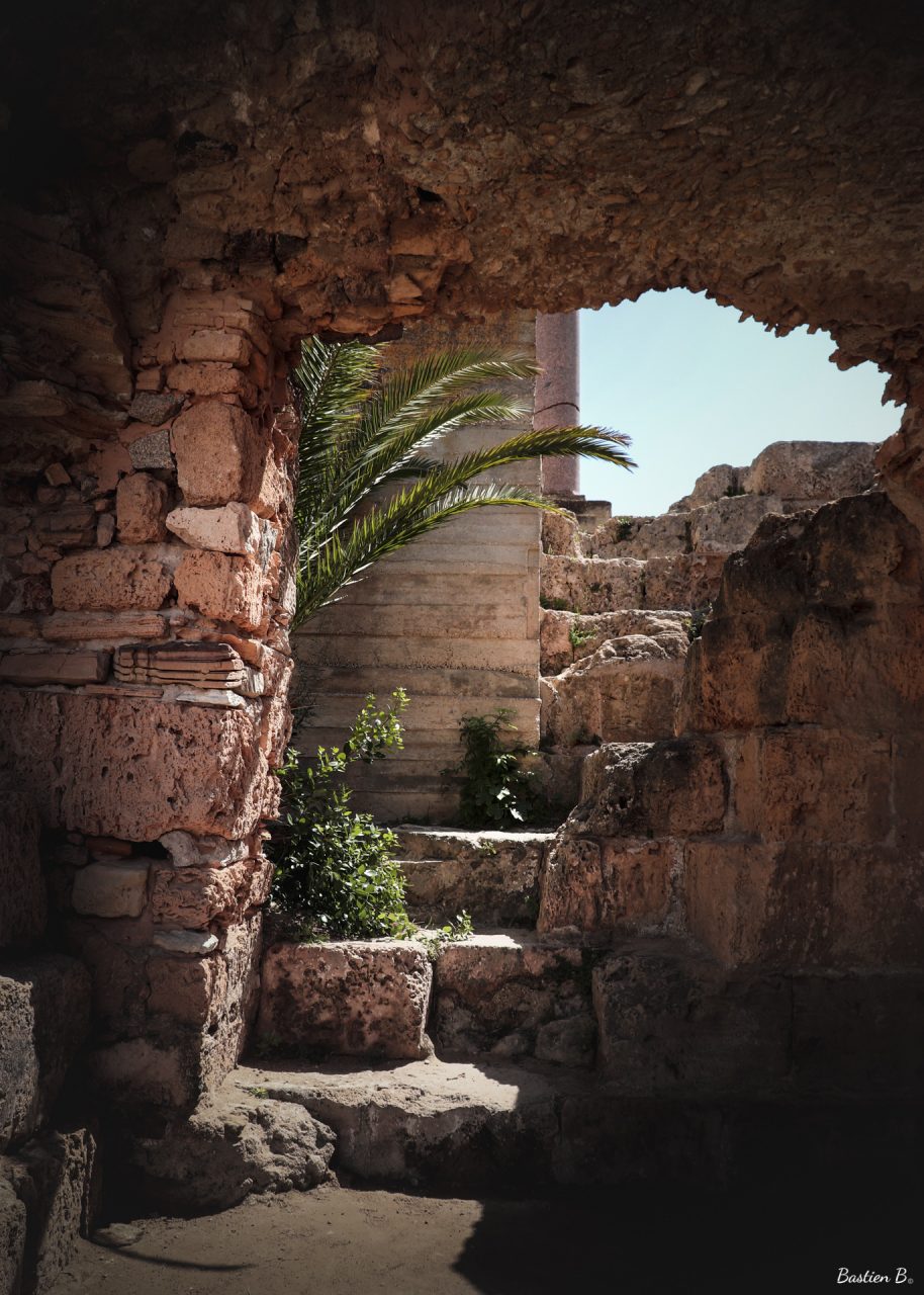 Site archéologique de Carthage | Sidi Bou Said, Tunisie