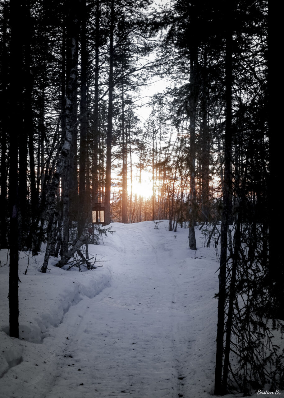 Pinetree Lodge | Laponie Suédoise