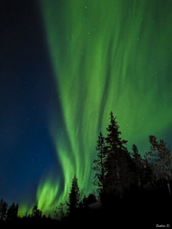 Aurore boréale | Laponie Suédoise