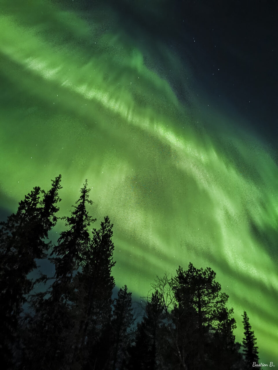 Aurore boréale | Laponie Suédoise
