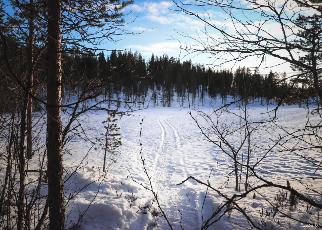 Pinetree Lodge | Laponie Suédoise